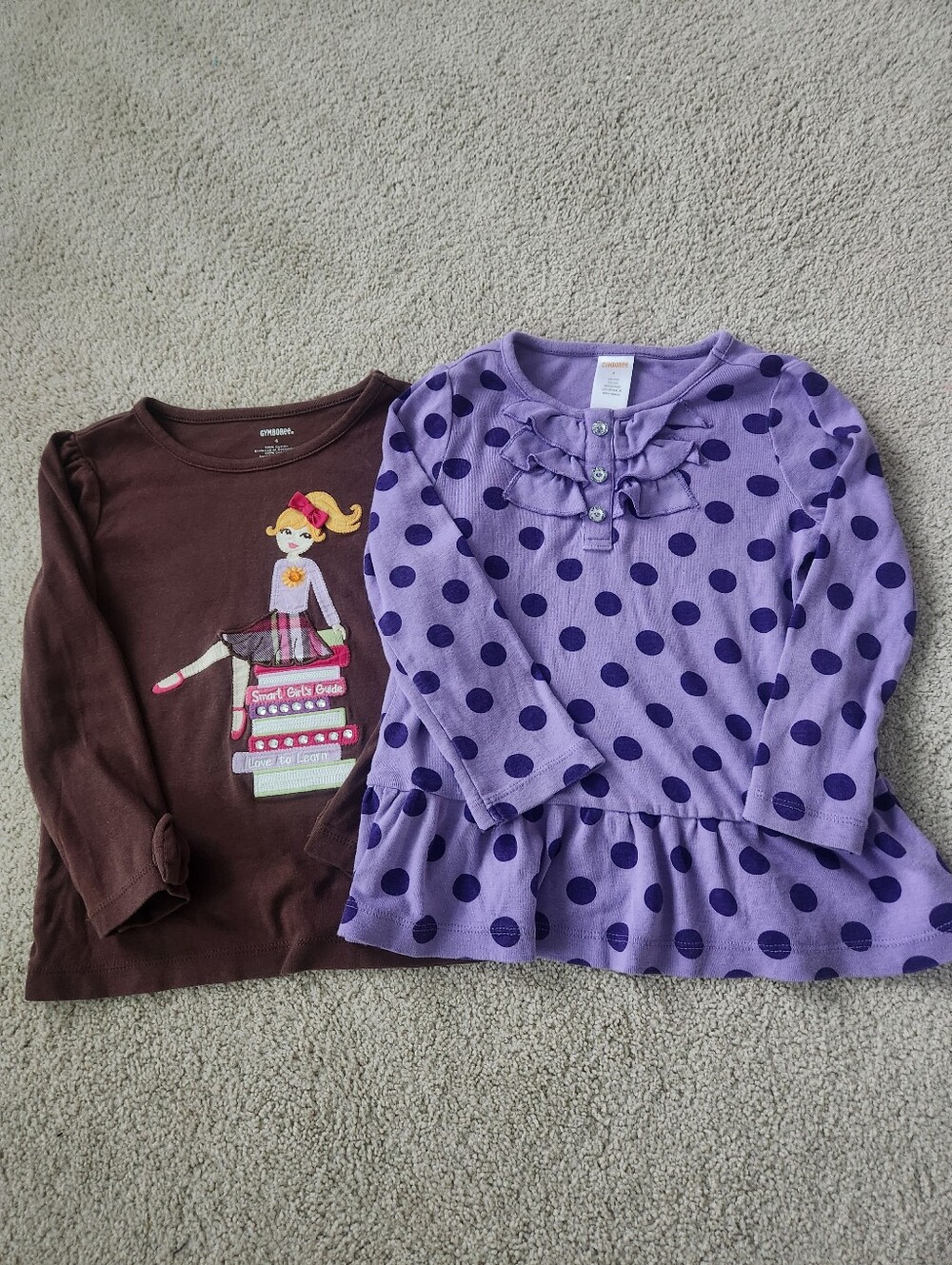Gymboree 4T Long Sleeve Tee Bundle of 2